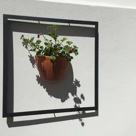 Appartamento Casa Da Papanata