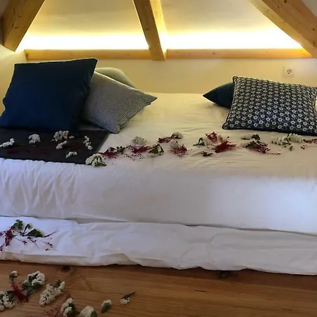 Appartamento Casa Da Papanata Viana do Castelo